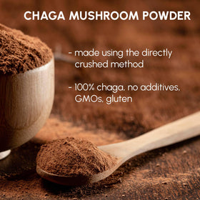 Poudre de Champignon Chaga 240g versée dans une cuillère