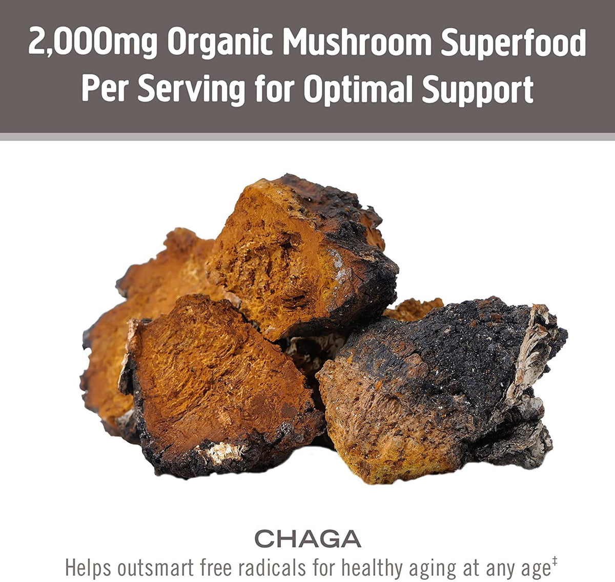 Poudre de Champignon Chaga Bio OM MUSHROOM SUPERFOOD avec des flocons d'avoine