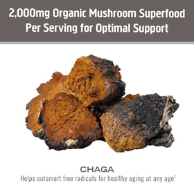 Poudre de Champignon Chaga Bio OM MUSHROOM SUPERFOOD avec des flocons d'avoine