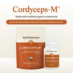 Poudre de champignon Cordyceps avec cuillère, contexte d'utilisation