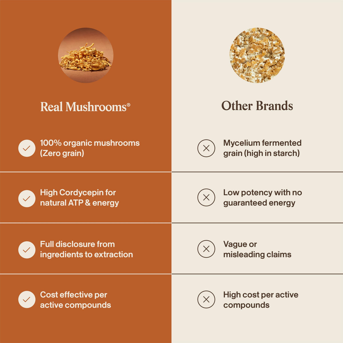 Poudre de champignon Cordyceps Bio avec ingrédients sur une table