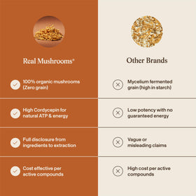 Poudre de champignon Cordyceps Bio avec ingrédients sur une table
