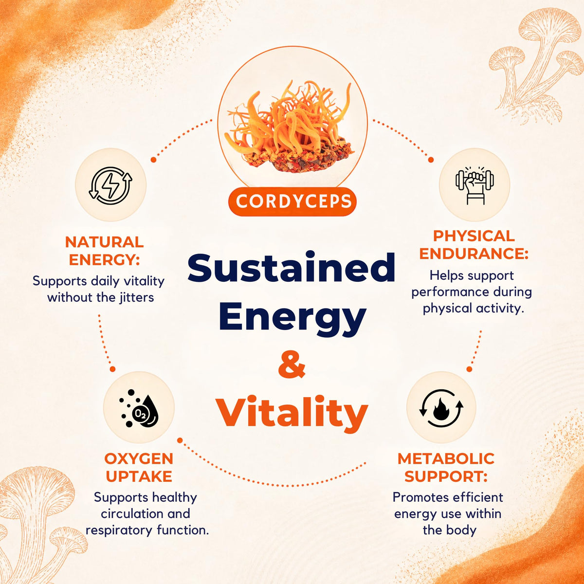 Poudre de champignon Cordyceps bio Malama Mushrooms dans un bol