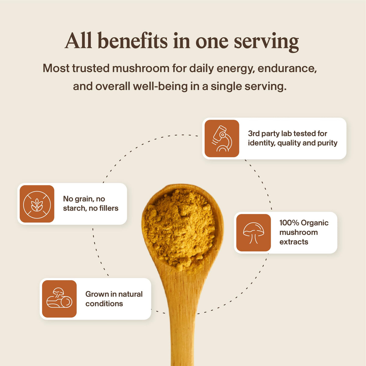 Poudre de champignon Cordyceps Bio vue de côté
