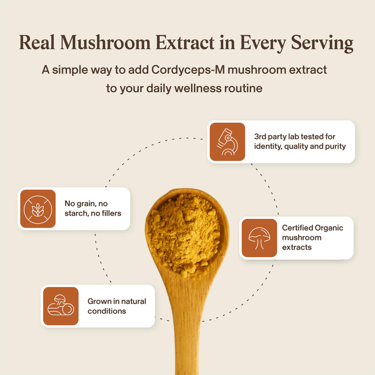 Poudre de champignon Cordyceps dans un bol, texture