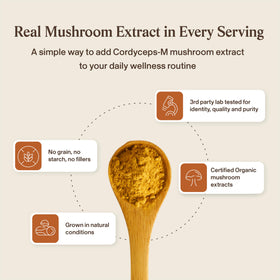 Poudre de champignon Cordyceps dans un bol, texture