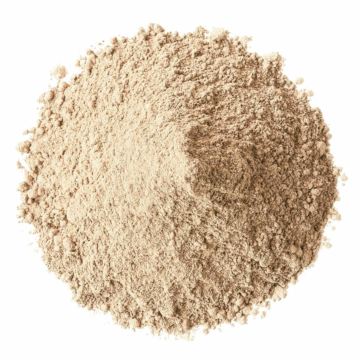 Poudre de champignon cordyceps Food to Live, texture fine en gros plan