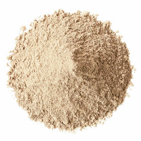 Poudre de champignon cordyceps Food to Live, texture fine en gros plan