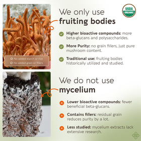 Poudre de champignon Cordyceps Longevity Botanicals avec des ingrédients naturels