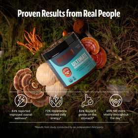 Poudre de champignon FreshCap dans un bol