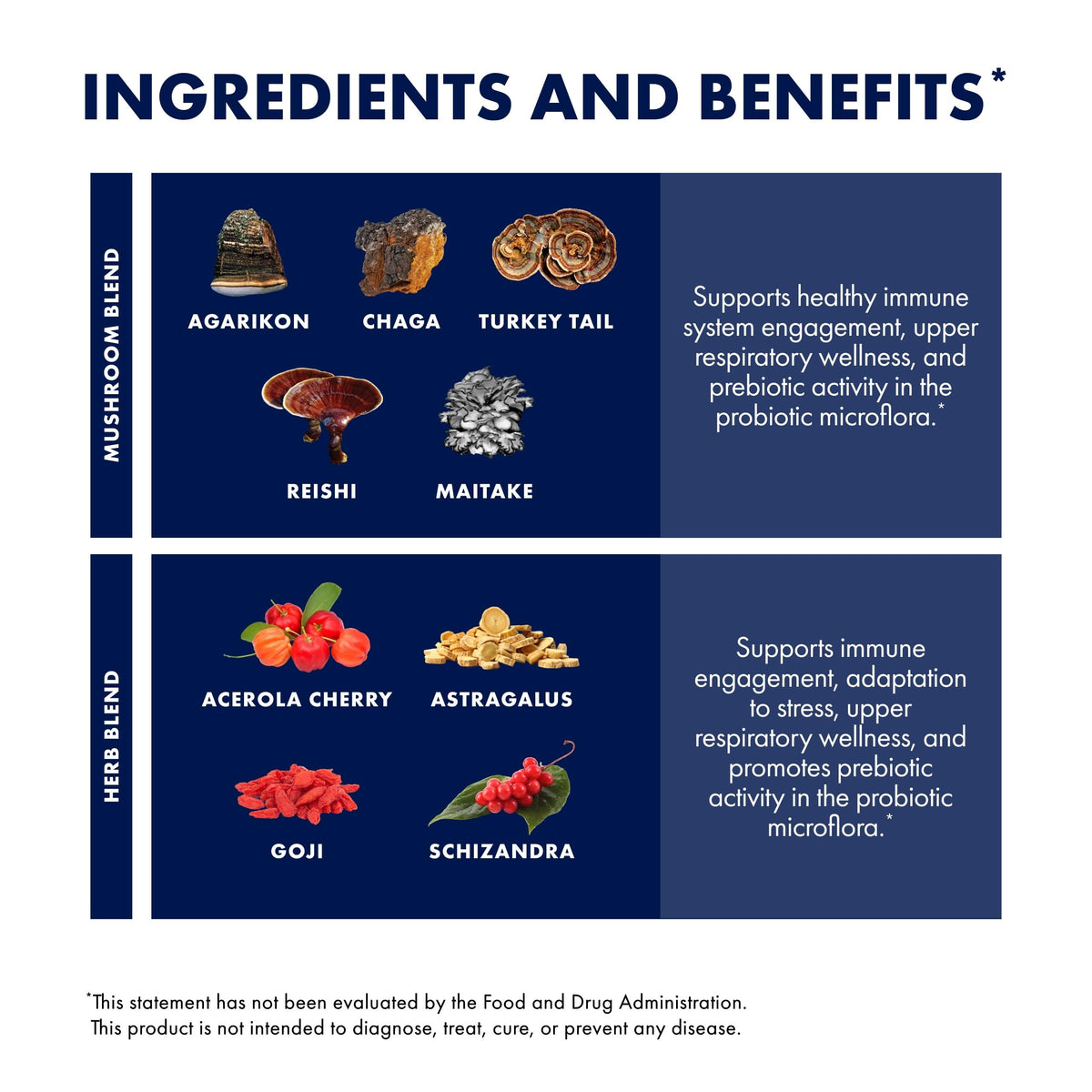 Poudre de champignon Host Defense MycoBotanicals sur un fond en bois