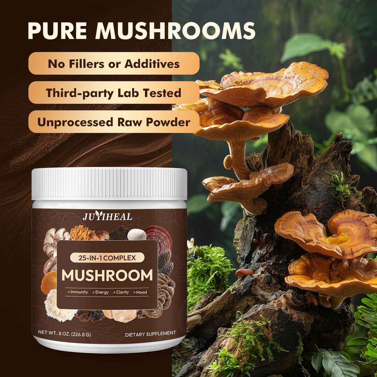 Poudre de champignon JUYIHEAL avec des ingrédients naturels