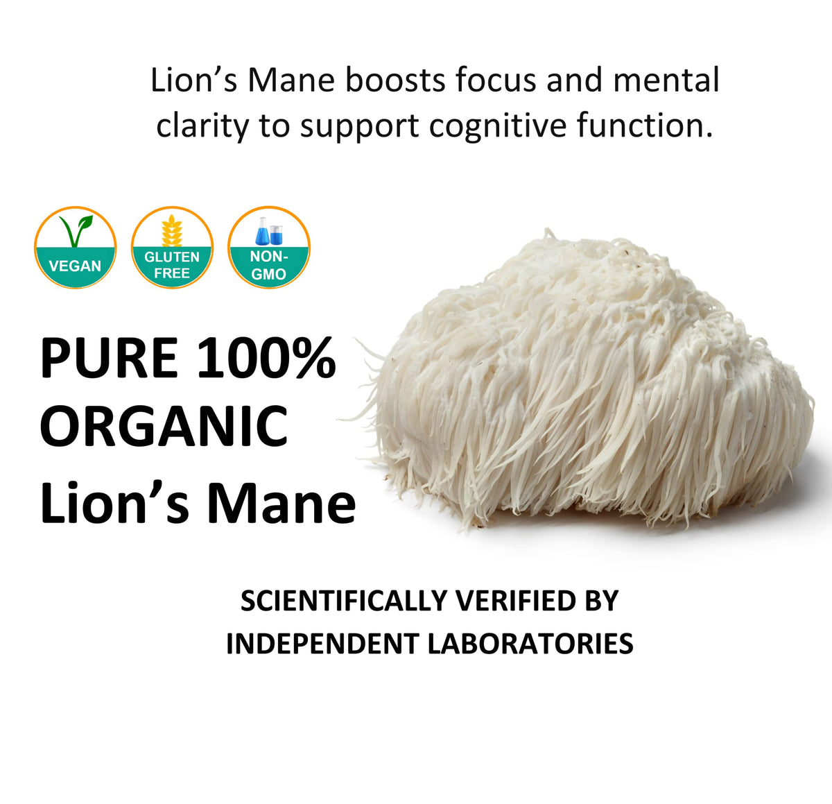 Poudre de champignon Lion's Mane Jetsu sur une cuillère