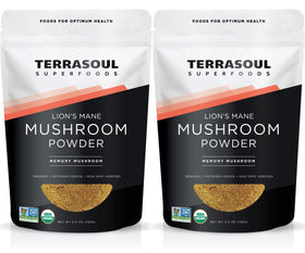 Poudre de champignon Lion's Mane Terrasoul Superfoods 340g vue de face
