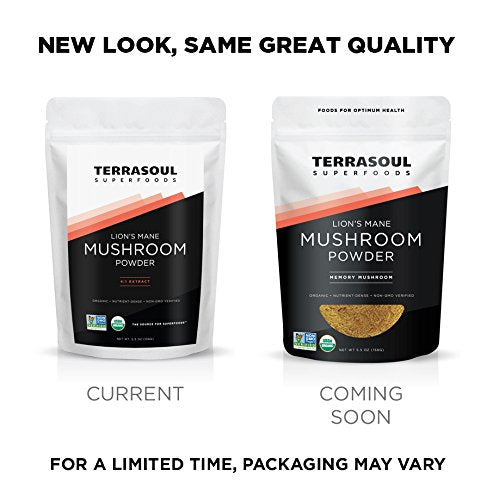 Poudre de Champignon Lion's Mane Terrasoul Superfoods avec cuillère