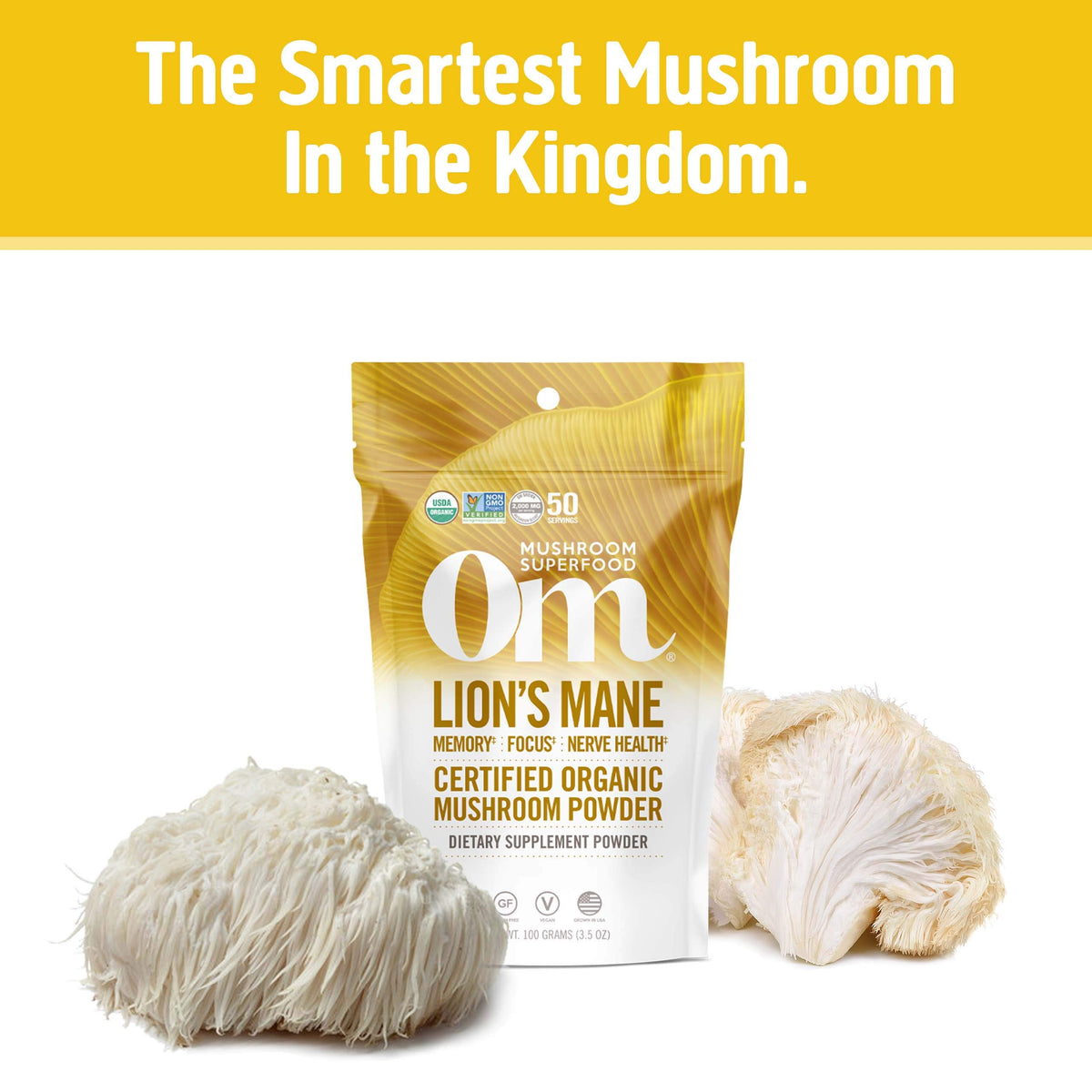 Poudre de champignon Lion's Mane versée dans un bol