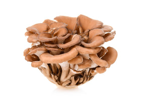 Poudre de champignon Maitake bio Naturejam avec des ingrédients frais