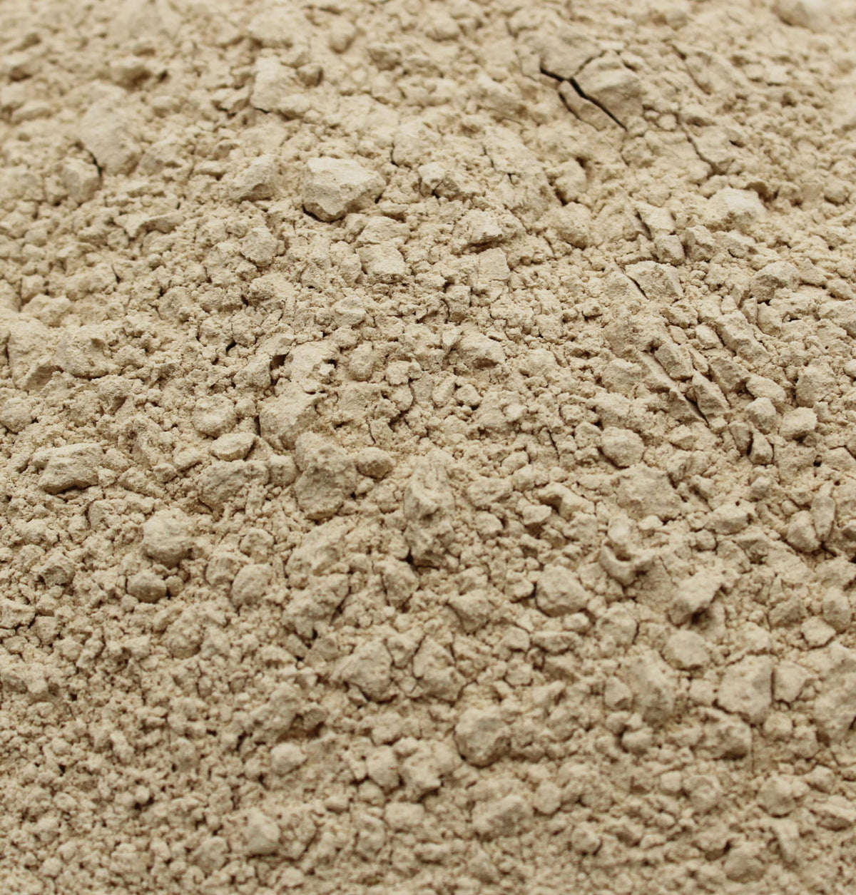 Poudre de champignon Maitake bio Naturejam versée dans une cuillère