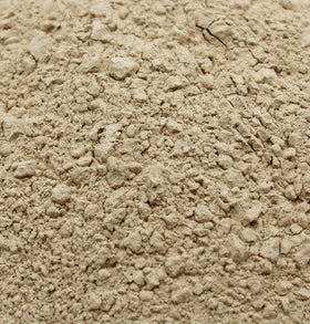 Poudre de champignon Maitake bio Naturejam versée dans une cuillère