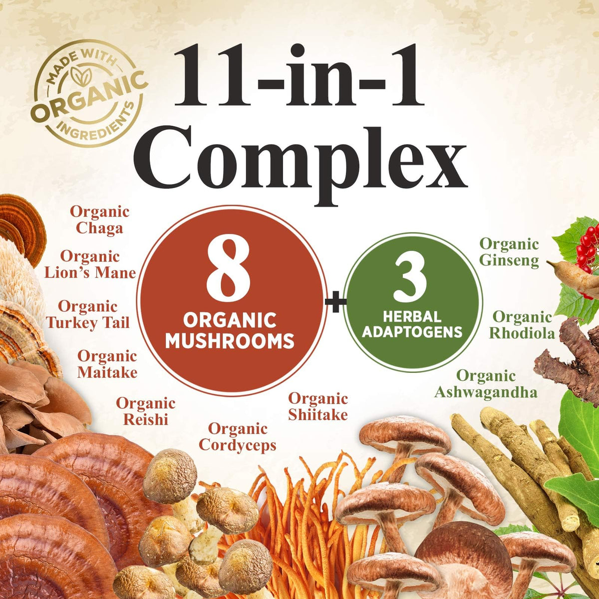 Poudre de champignon Nature's Nutrition versée dans une cuillère