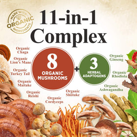 Poudre de champignon Nature's Nutrition versée dans une cuillère