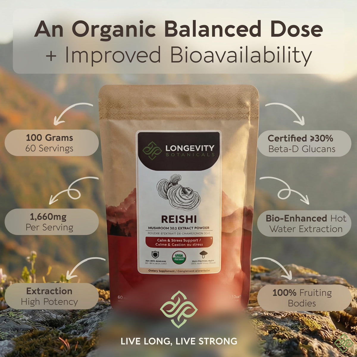 Poudre de champignon Reishi bio Longevity Botanicals vue de côté