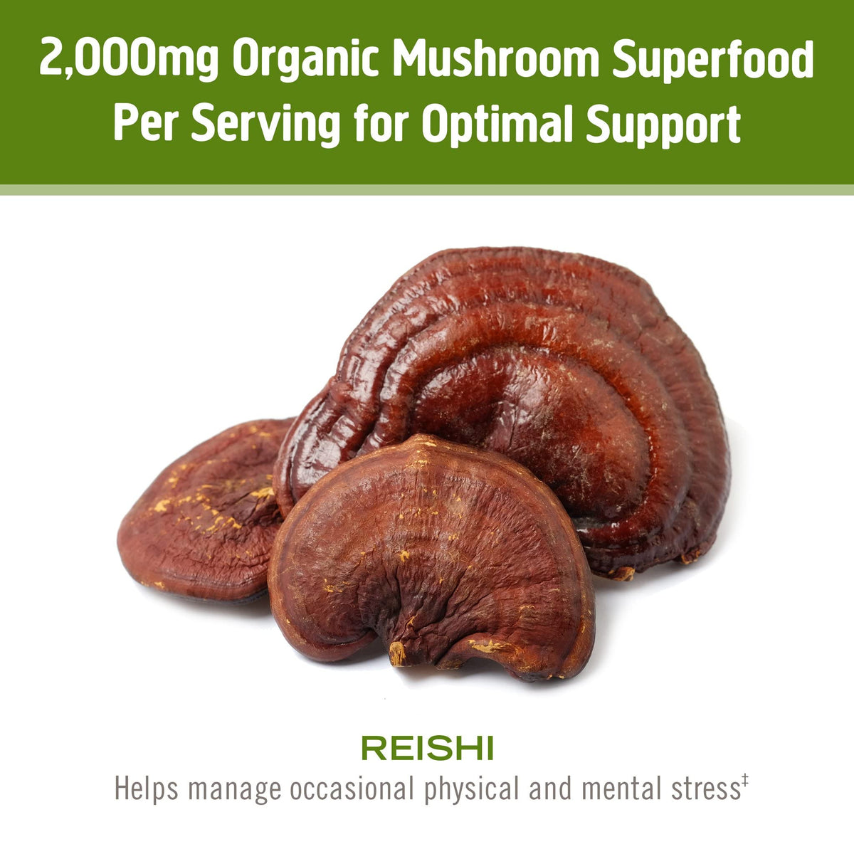 Poudre de champignon Reishi bio OM MUSHROOM SUPERFOOD mélangée dans un smoothie