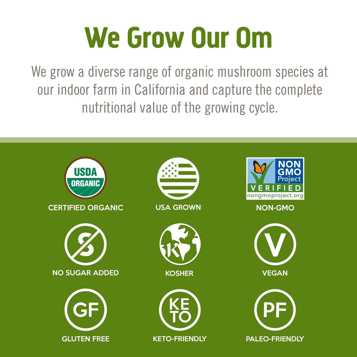Poudre de champignon Reishi bio OM MUSHROOM SUPERFOOD sur une cuillère