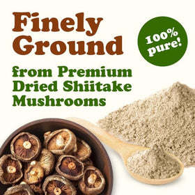 Poudre de Champignon Shiitake Food to Live dans un bol