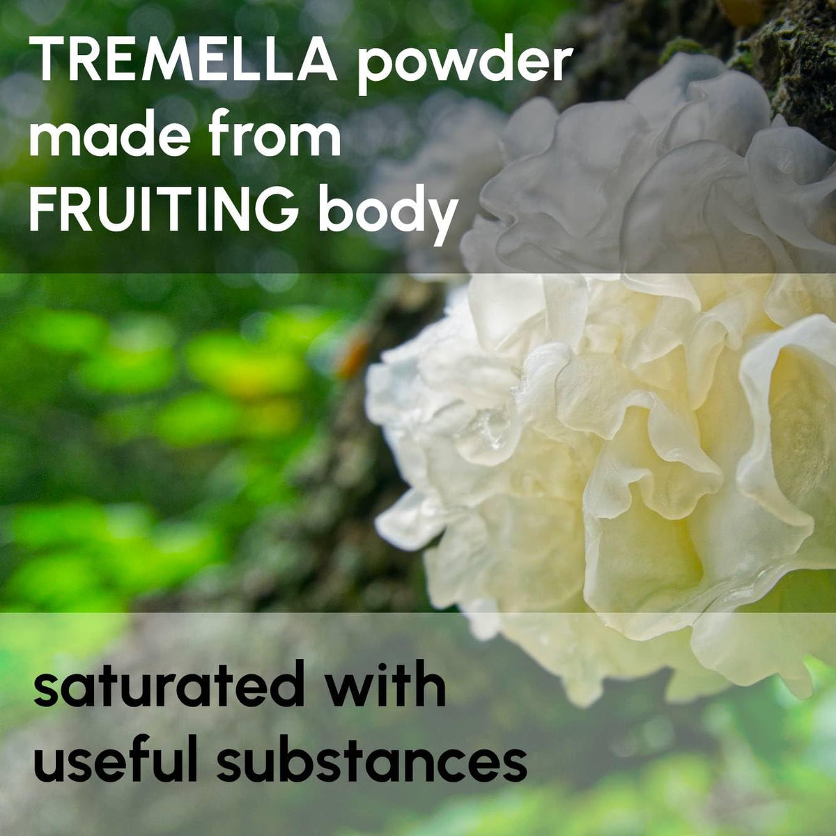 Poudre de champignon Tremella 240g avec cuillère