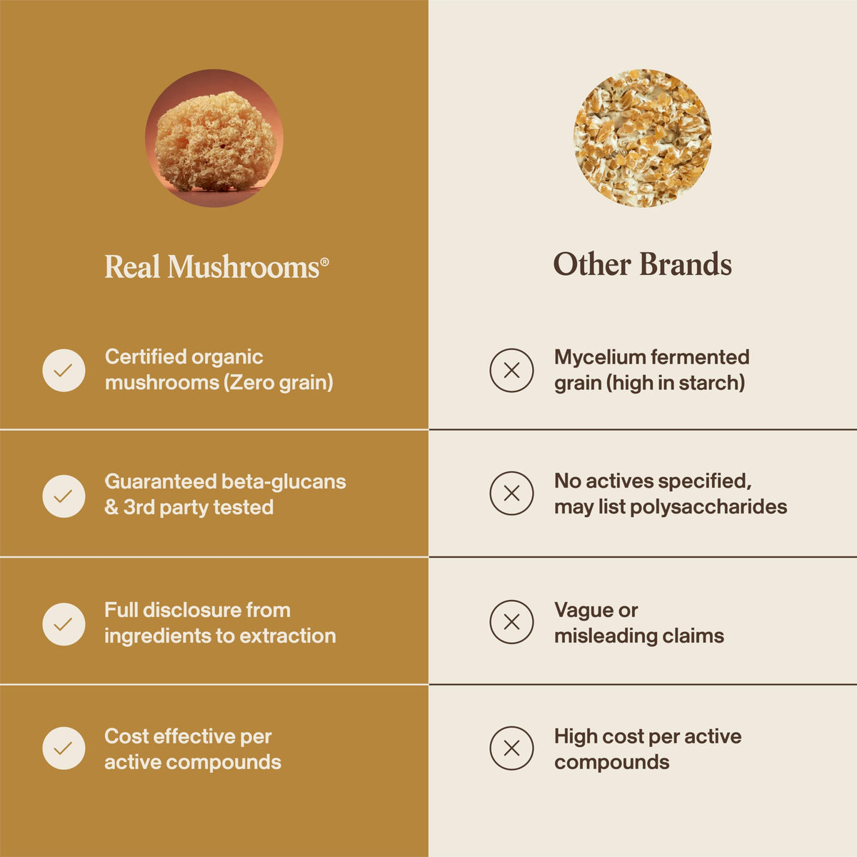 Poudre de champignon Tremella mélangée dans un café