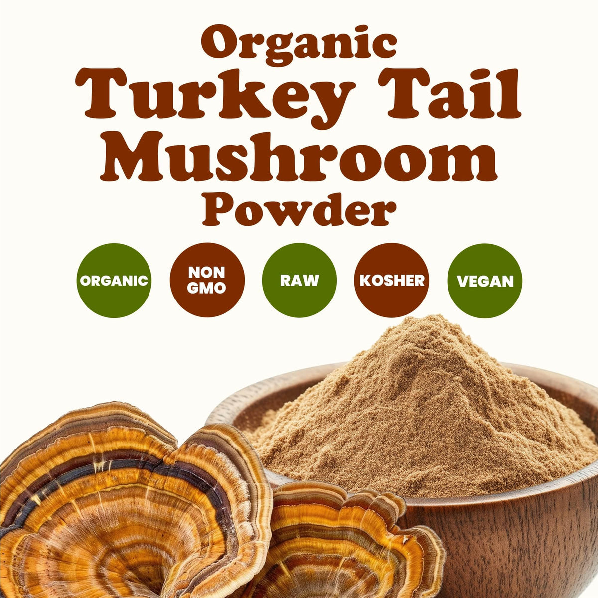 Poudre de champignon Turkey Tail Bio Food to Live versée dans un verre