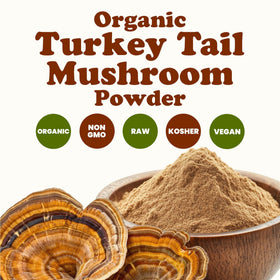 Poudre de champignon Turkey Tail Bio Food to Live versée dans un verre