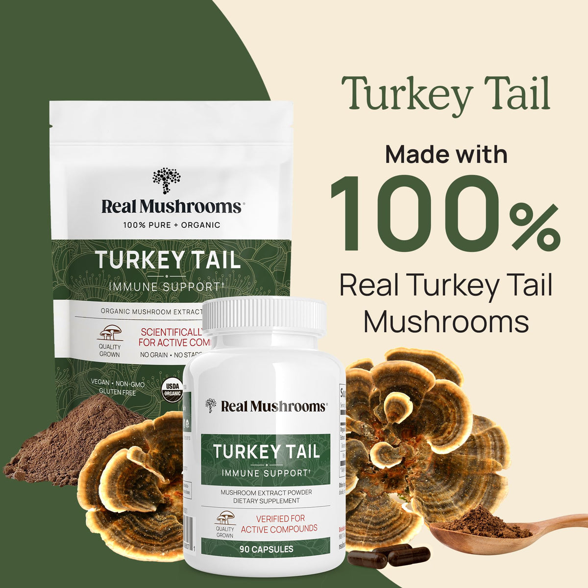 Poudre de champignon Turkey Tail dans un bol