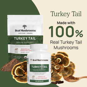 Poudre de champignon Turkey Tail dans un bol