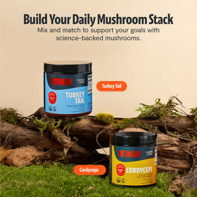 Poudre de champignon Turkey Tail FreshCap avec une cuillère