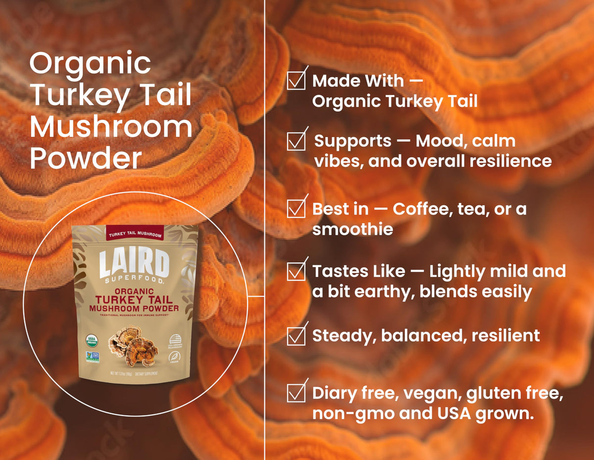 Poudre de champignon Turkey Tail Laird Superfood dans un bol