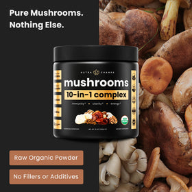 Poudre de champignons bio NutraChamps 250g avec cuillère