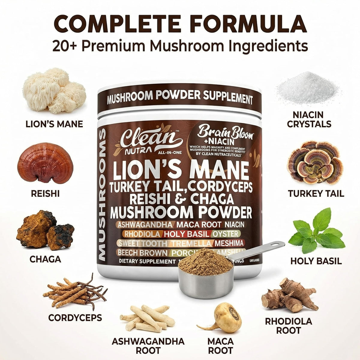Poudre de champignons Clean Nutraceuticals dans un verre d'eau