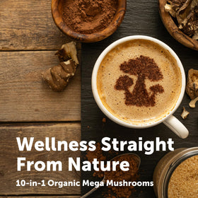 Poudre de champignons Micro Ingredients sur une cuillère