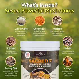 Poudre de champignons Sacred 7 Naturealm en utilisation dans un café
