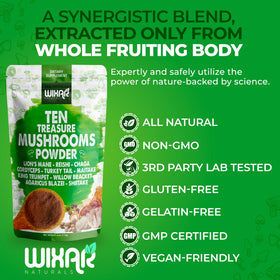 Poudre de champignons WIXAR NATURALS 10 Trésors avec cuillère
