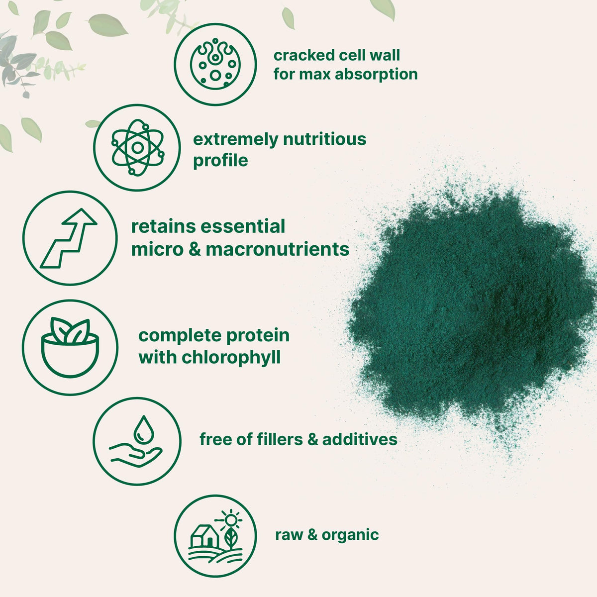 Poudre de chlorelle bio Micro Ingredients dans un verre avec smoothie