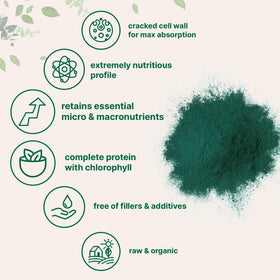 Poudre de chlorelle bio Micro Ingredients dans un verre avec smoothie