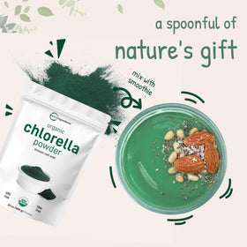 Poudre de chlorelle bio Micro Ingredients sur un fond blanc
