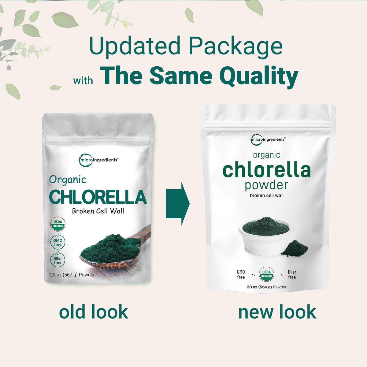 Poudre de chlorelle bio Micro Ingredients versée dans un bol