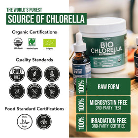 Poudre de chlorelle bio Triquetra Health dans un bol