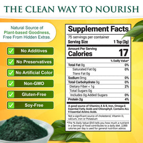 Poudre de chlorelle et spiruline Sunlit Best dans un bol
