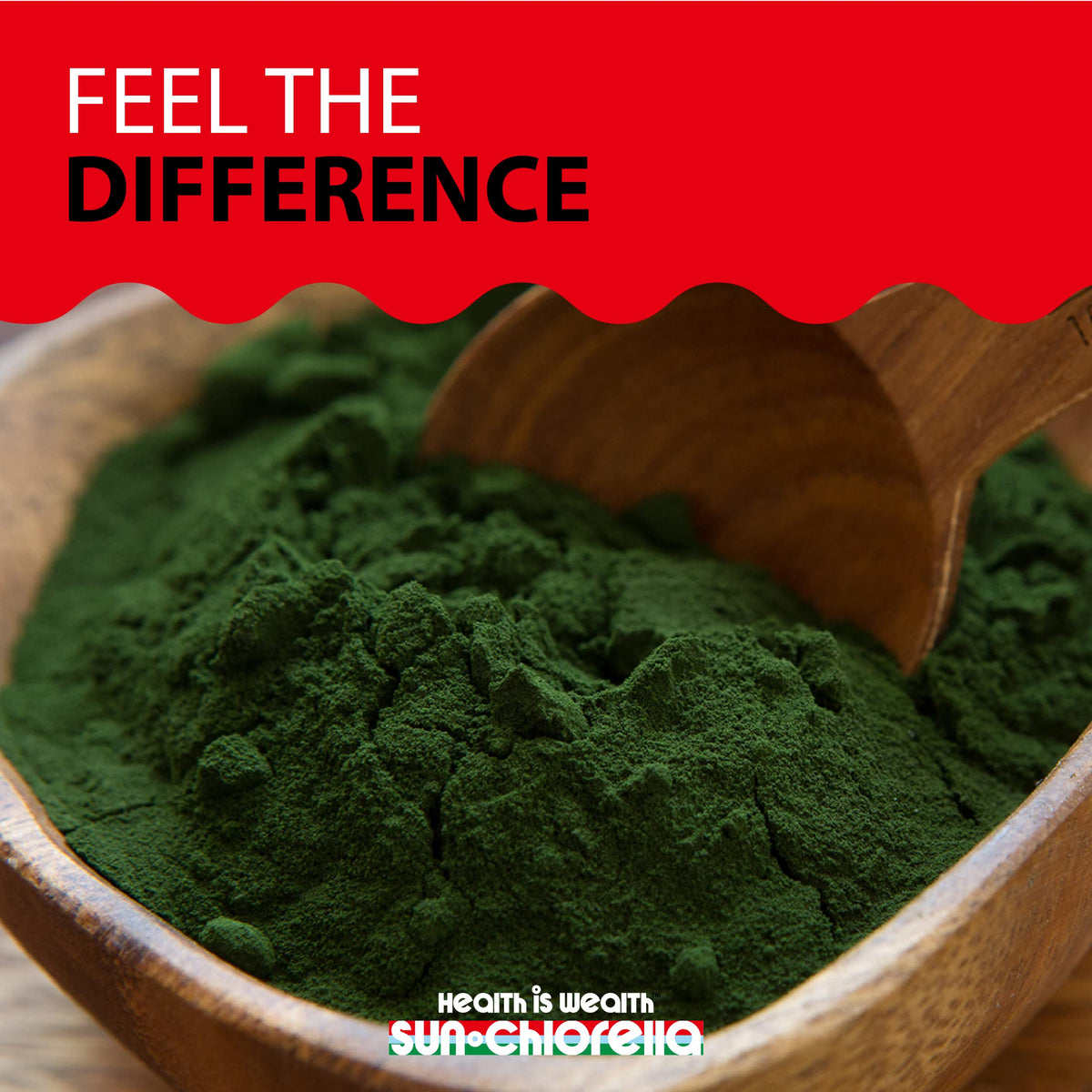 Poudre de chlorelle Sun Chlorella dans un bol