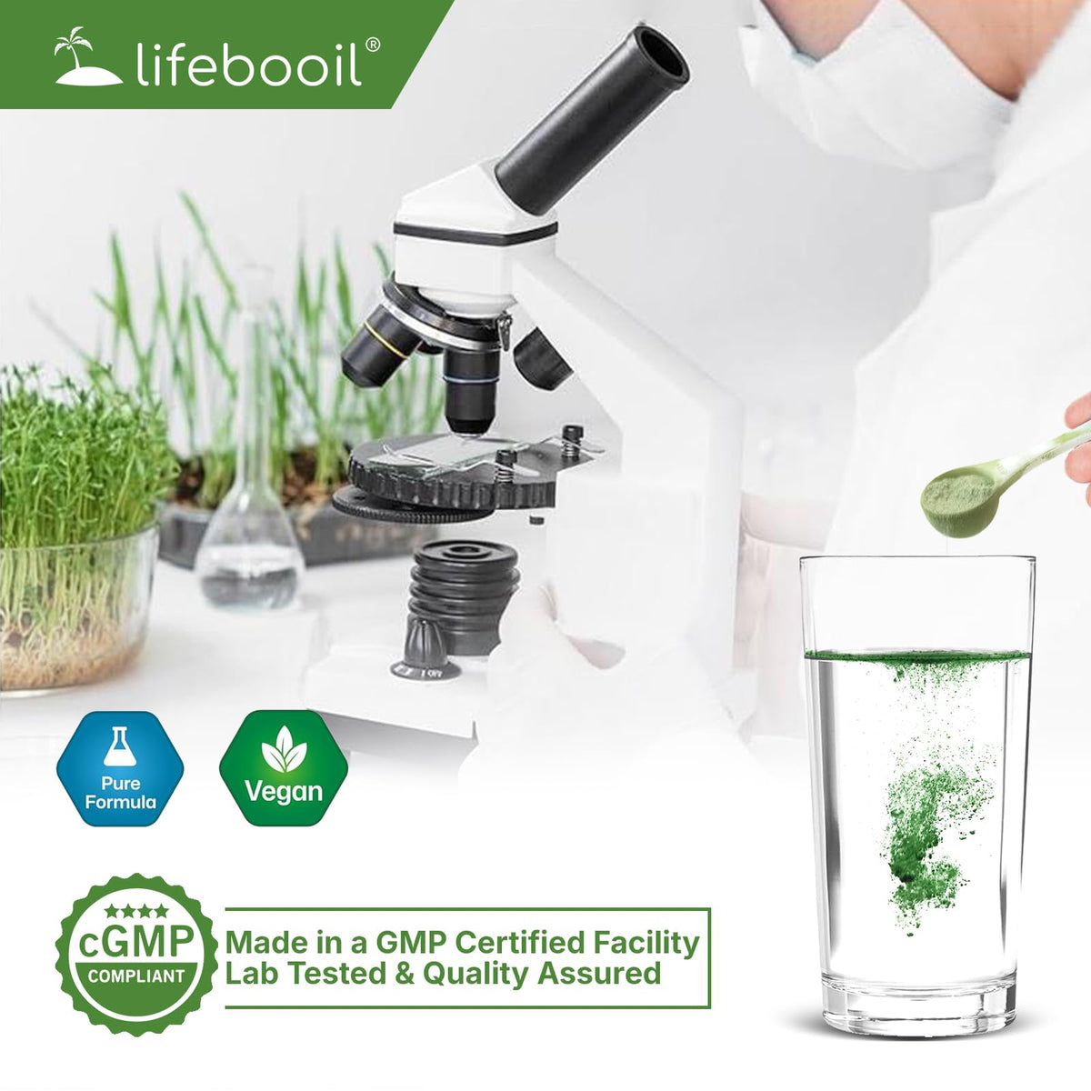 Poudre de chlorophylle Lifebooil vue de dos avec informations nutritionnelles